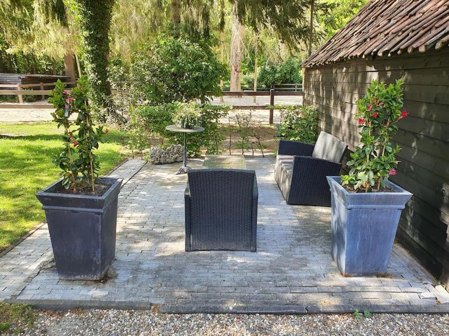 Midden In De Friese Bossen Op Landgoed Princenhof Oranjewoud Dış mekan fotoğraf