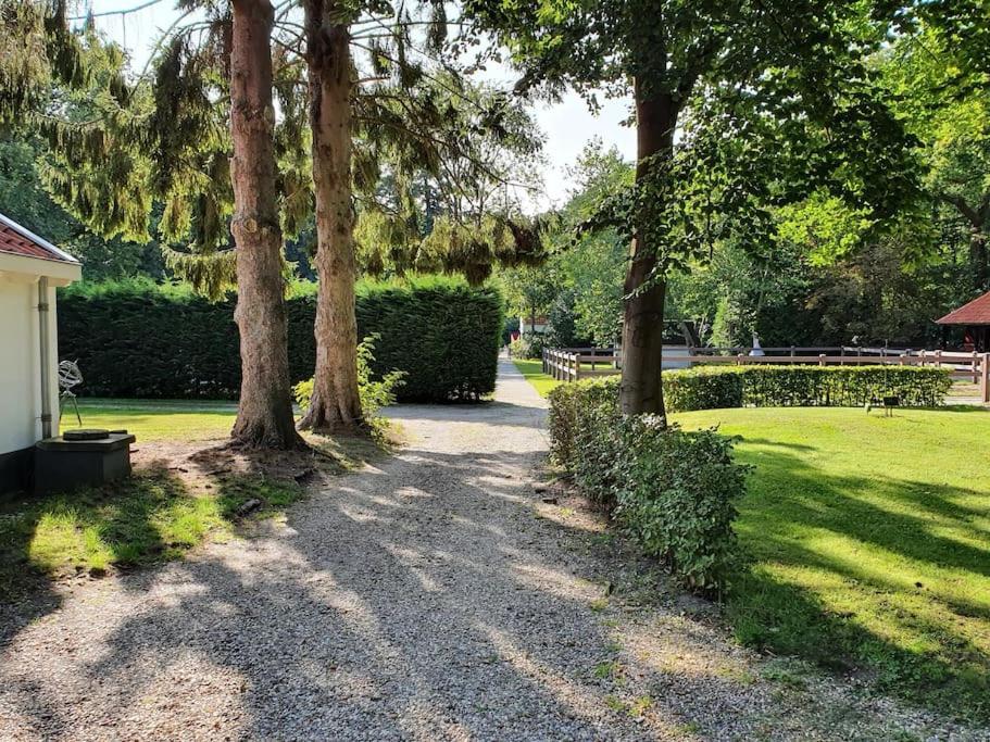 Midden In De Friese Bossen Op Landgoed Princenhof Oranjewoud Dış mekan fotoğraf