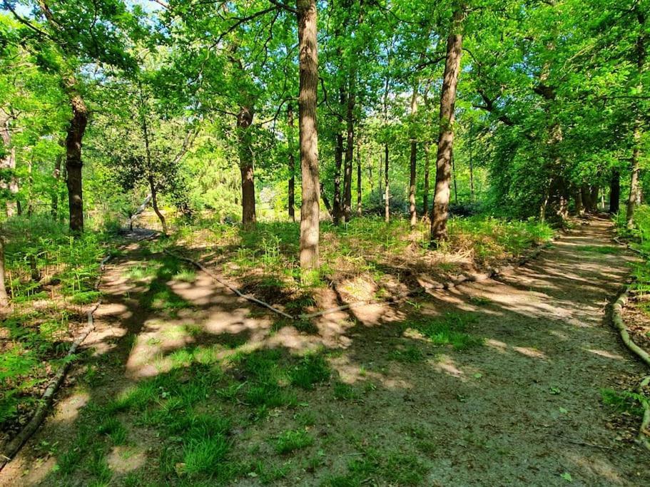 Midden In De Friese Bossen Op Landgoed Princenhof Oranjewoud Dış mekan fotoğraf
