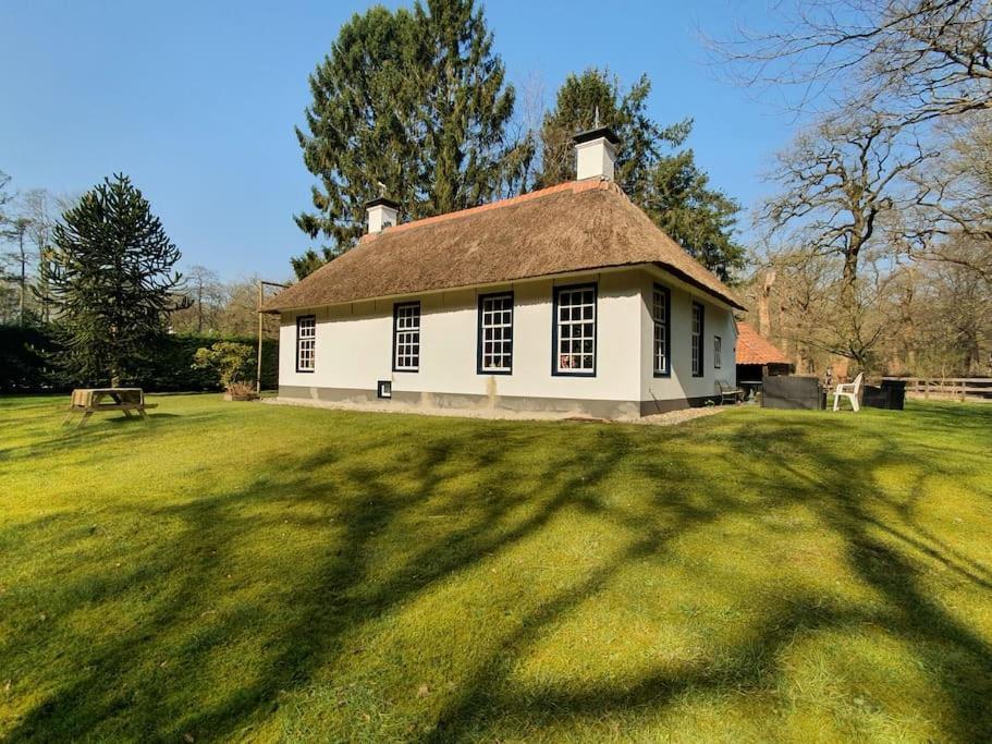 Midden In De Friese Bossen Op Landgoed Princenhof Oranjewoud Dış mekan fotoğraf