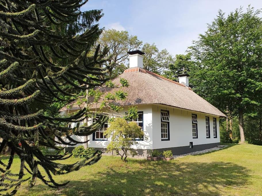 Midden In De Friese Bossen Op Landgoed Princenhof Oranjewoud Dış mekan fotoğraf