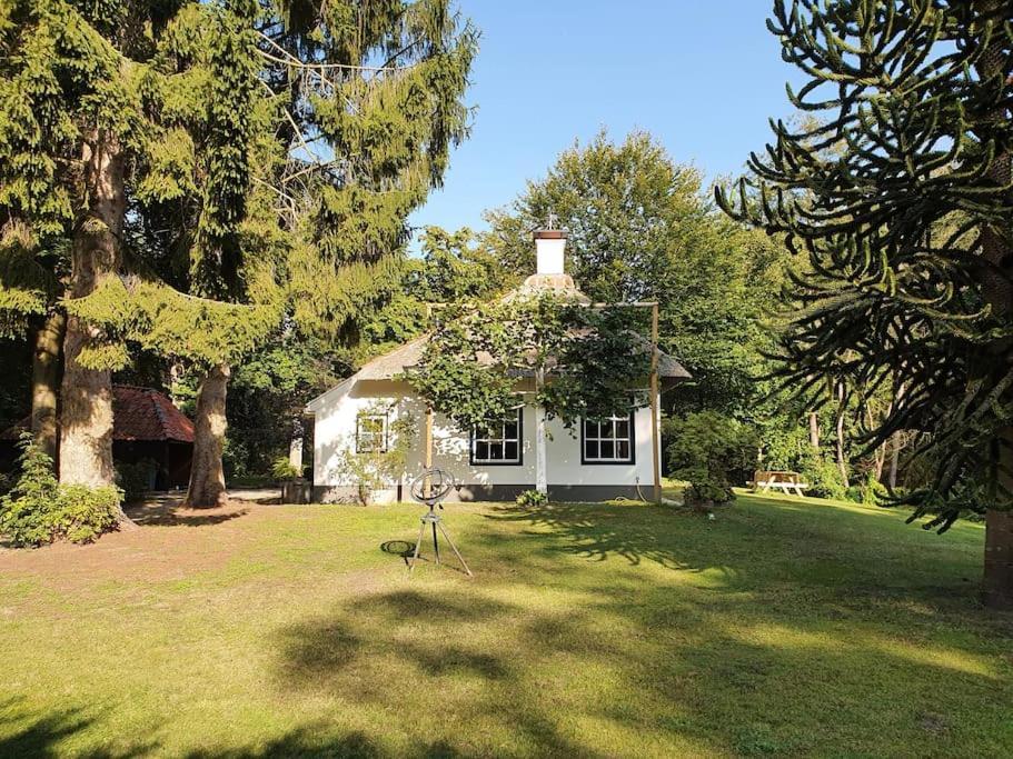 Midden In De Friese Bossen Op Landgoed Princenhof Oranjewoud Dış mekan fotoğraf