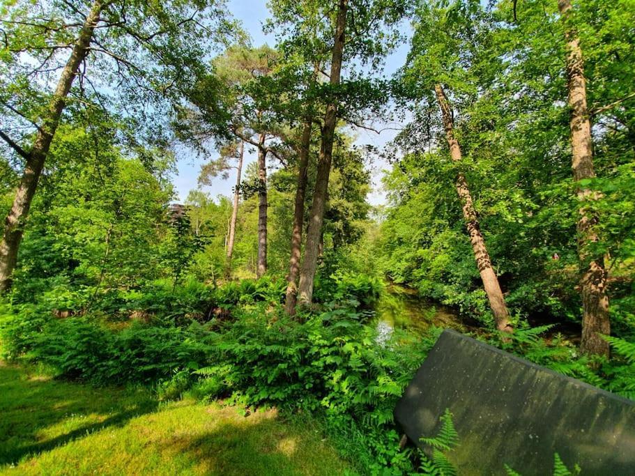 Midden In De Friese Bossen Op Landgoed Princenhof Oranjewoud Dış mekan fotoğraf