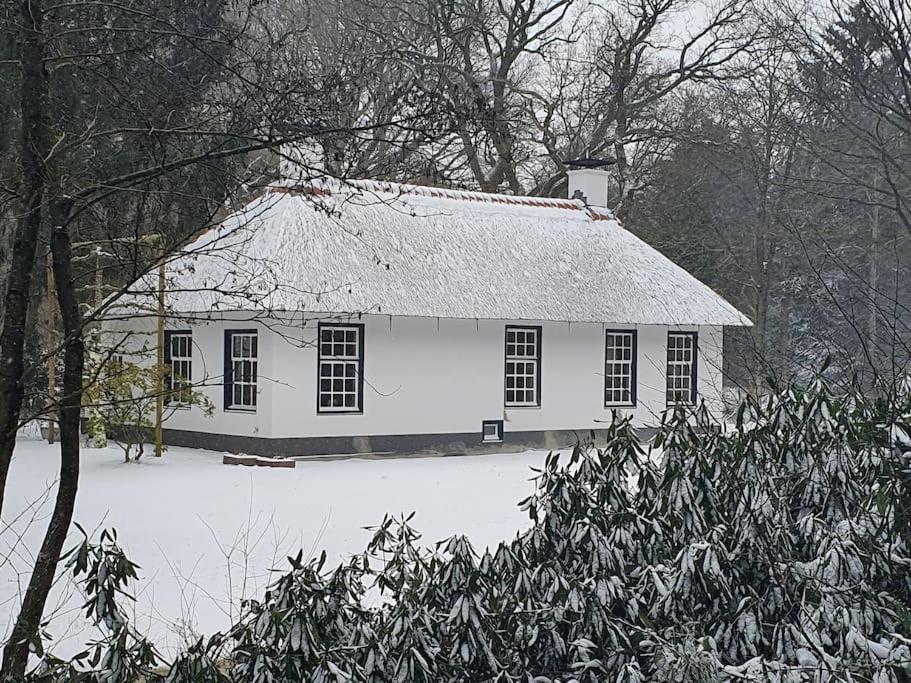 Midden In De Friese Bossen Op Landgoed Princenhof Oranjewoud Dış mekan fotoğraf