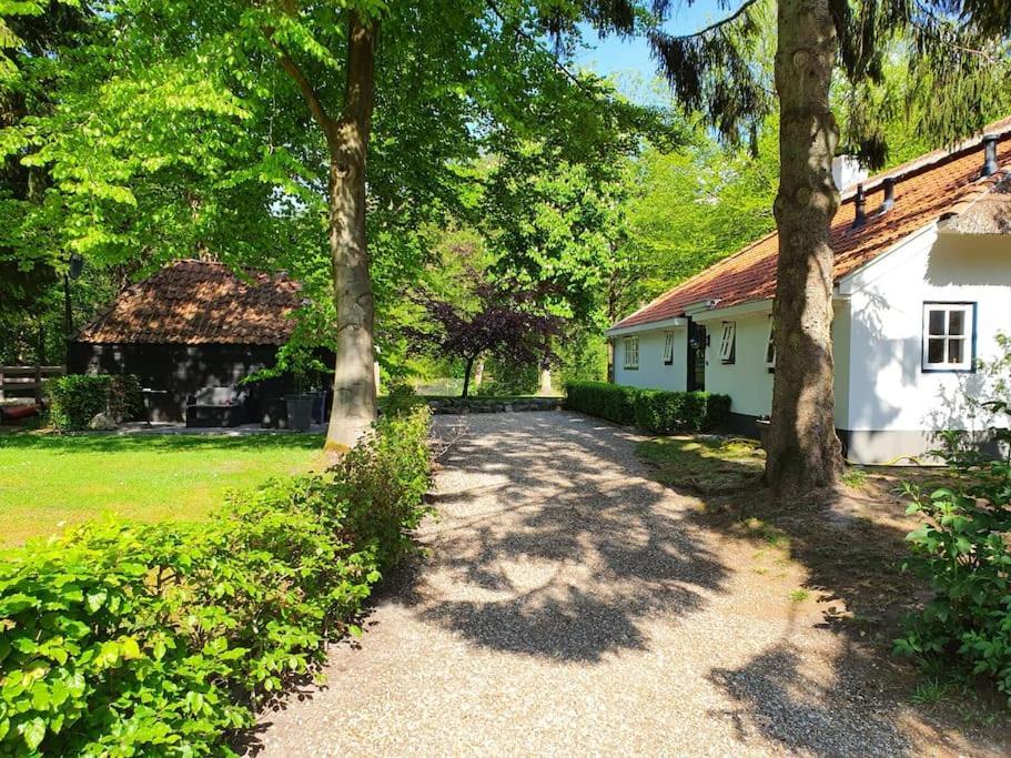 Midden In De Friese Bossen Op Landgoed Princenhof Oranjewoud Dış mekan fotoğraf