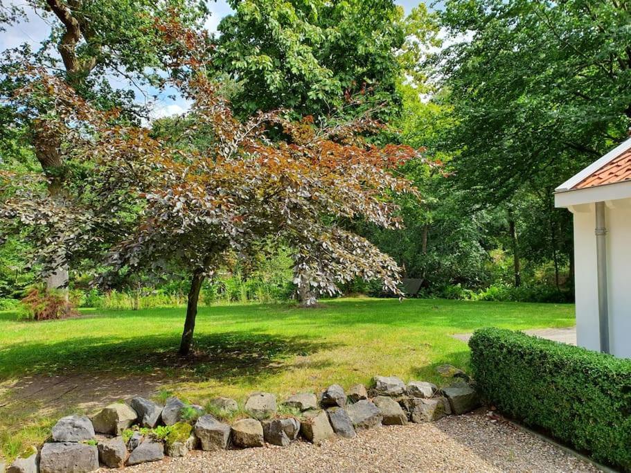 Midden In De Friese Bossen Op Landgoed Princenhof Oranjewoud Dış mekan fotoğraf