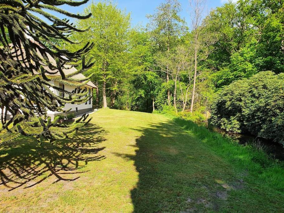 Midden In De Friese Bossen Op Landgoed Princenhof Oranjewoud Dış mekan fotoğraf