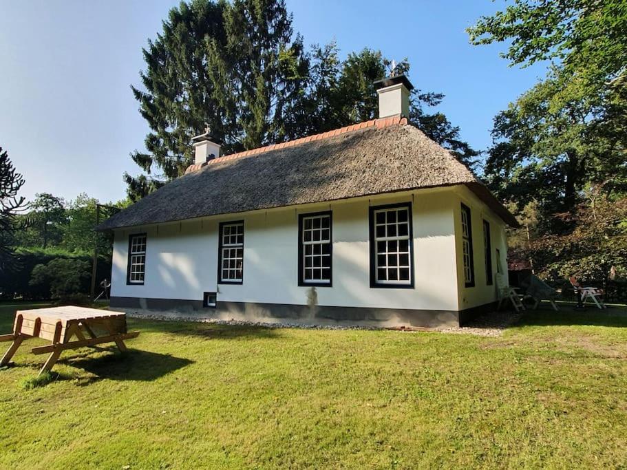 Midden In De Friese Bossen Op Landgoed Princenhof Oranjewoud Dış mekan fotoğraf