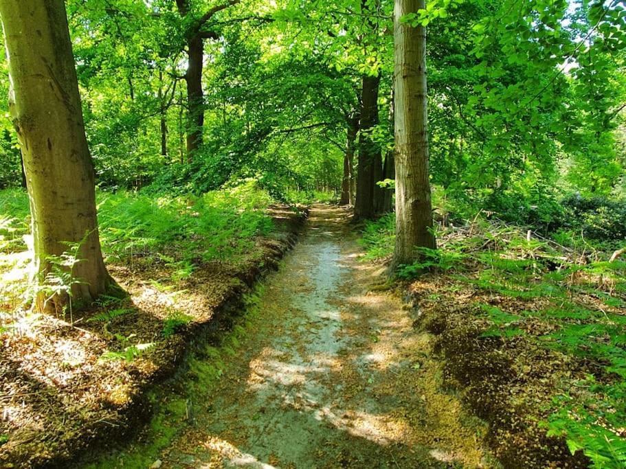 Midden In De Friese Bossen Op Landgoed Princenhof Oranjewoud Dış mekan fotoğraf