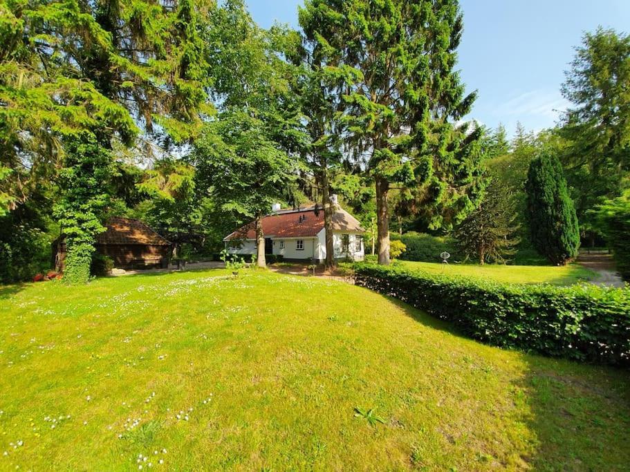 Midden In De Friese Bossen Op Landgoed Princenhof Oranjewoud Dış mekan fotoğraf